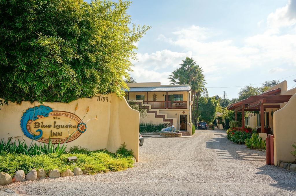 אוחאי Blue Iguana Inn מראה חיצוני תמונה
